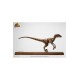 Jurassic Park Statue 1/4 Velociraptor Clever Girl 49 cm (With Acrylic Case)