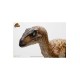 Jurassic Park Statue 1/4 Velociraptor Clever Girl 49 cm