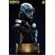 Hellboy II The Golden Army Abe Sapien 1:1 Scale Bust