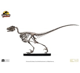 Jurassic Park: Raptor Skeleton Bronze 1:4 Scale Statue