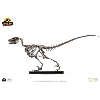 Jurassic Park: Raptor Skeleton Bronze 1:4 Scale Statue