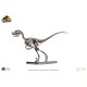 Jurassic Park: Raptor Skeleton Bronze 1:4 Scale Statue