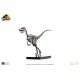 Jurassic Park: Raptor Skeleton Bronze 1:4 Scale Statue