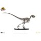 Jurassic Park: Raptor Skeleton Bronze 1:4 Scale Statue