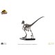 Jurassic Park: Raptor Skeleton Bronze 1:4 Scale Statue