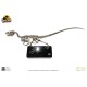 Jurassic Park: Raptor Skeleton Bronze 1:4 Scale Statue