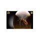 Jurassic Park Statue Elephant Mosquito in Amber 10 cm