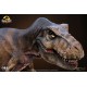 Jurassic Park: T-Rex 1:12 Scale Maquette