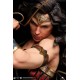 DC Comics: Wonder Woman 1:4 Scale Statue