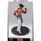 Tekken 5 Statue 1/4 Jin Kazama 48 cm