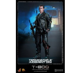 Terminator 2 DX Action Figure 1/6 T-800 Battl..