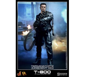 Terminator 2 MMS DX Action Figure 1/6 T-800 3..
