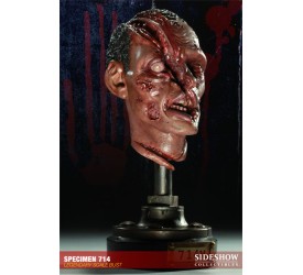 The Dead Legendary Scale Bust Specimen 714 24..