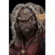 The Dark Crystal Age of Resistance Statue 1/6 Mother Aughra 22 cm