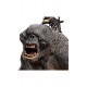 The Lord of the Rings Statue 1/6 The Cave Troll of Moria 62 cm