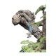 The Lord of the Rings Statue 1/6 Leaflock the Ent 76 cm