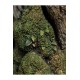 The Lord of the Rings Statue 1/6 Leaflock the Ent 76 cm