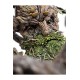 The Lord of the Rings Statue 1/6 Leaflock the Ent 76 cm