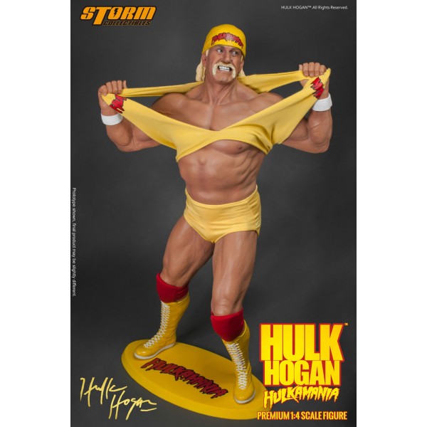 WWE Wrestling Hulk Hogan Hulkamania cm