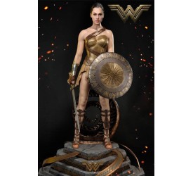 Wonder Woman Statue Wonder Woman Training Cos..