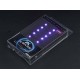 X-base LED 10-Pack (7 Colour to choose)