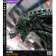 XM Studios Alien 1/3 Premium Collectibles Statue