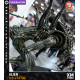 XM Studios Alien 1/3 Premium Collectibles Statue