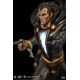 DC Premium Collectibles DC Rebirth Series Statue Black Adam