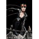 DC Premium Collectibles DC Rebirth Series Statue Catwoman