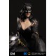 DC Premium Collectibles DC Rebirth Series Statue Catwoman