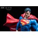 DC Premium Collectibles DC Rebirth 1/6 Series Statue