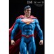 DC Premium Collectibles DC Rebirth 1/6 Series Statue