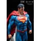 DC Premium Collectibles DC Rebirth 1/6 Series Statue