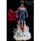 DC Premium Collectibles DC Rebirth 1/6 Series Statue