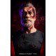 Artist customization Terminator Bust (Old Age Version)